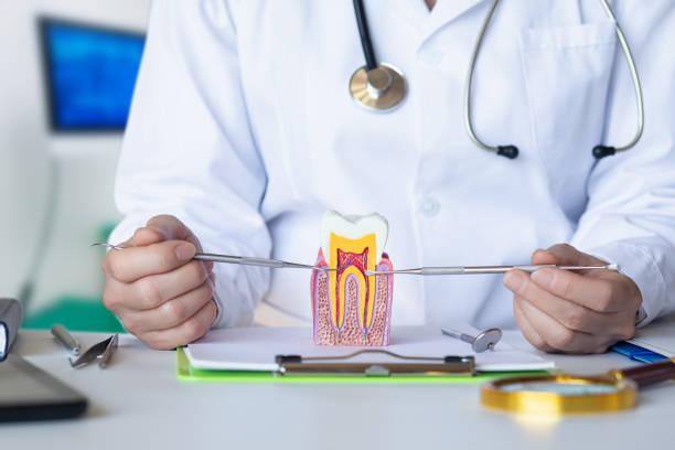 Best Weekend Emergency Dental Services in South Henderson, NC